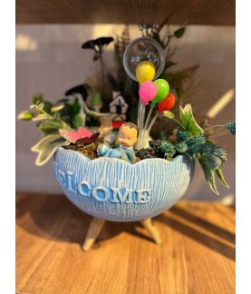 Bebek Teraryumları3