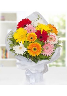 Renkli Gerbera Buketi